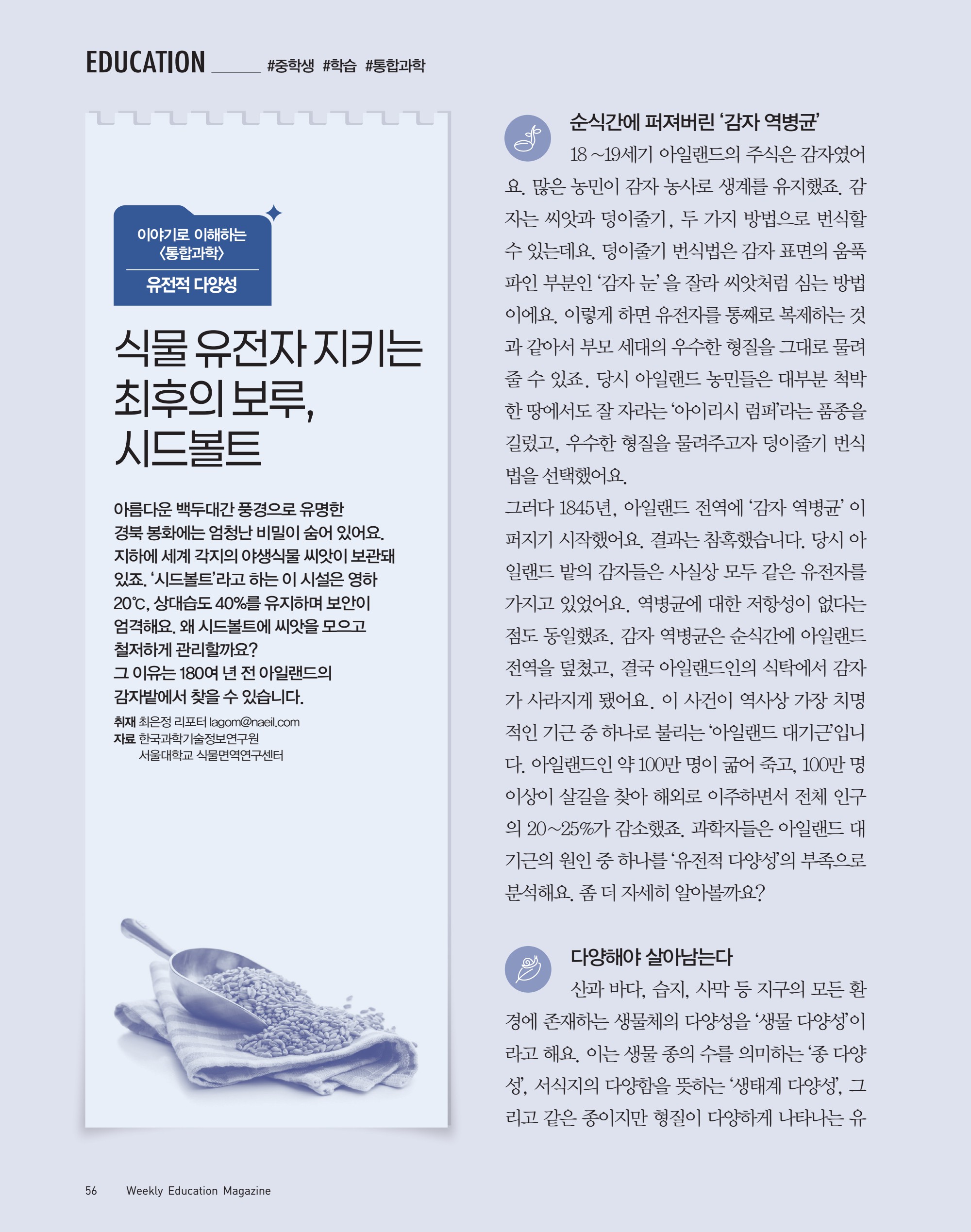 페이지